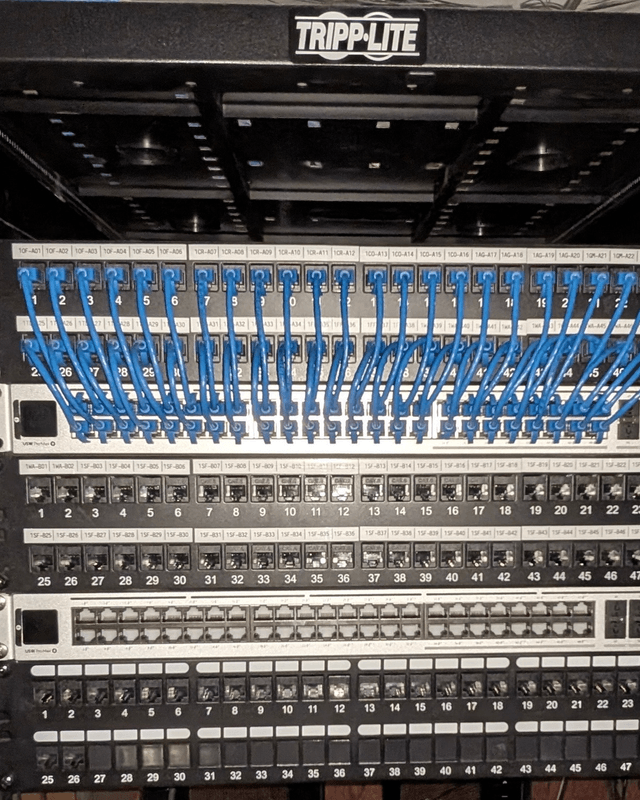 Labeled patch panels with neatly run blue patch cables